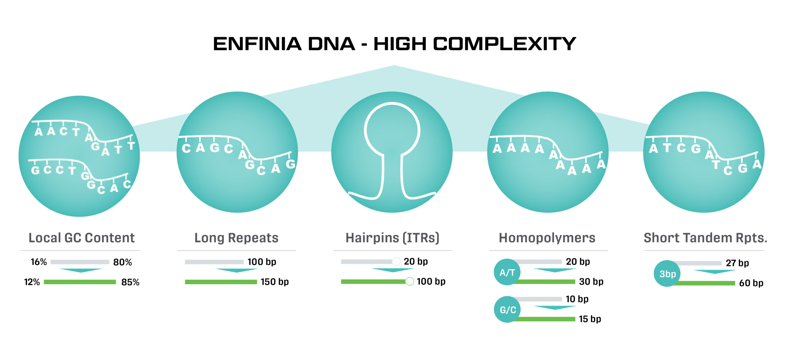 figure very complex DNA synthesis